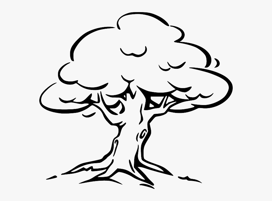 Tree Black & White, Transparent Clipart