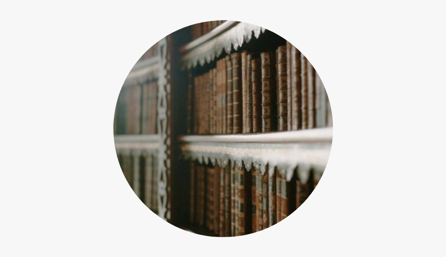 #shelf #book #books #library #brown #aesthetic #aestheticcircle - Aesthetic Bookshelves, Transparent Clipart