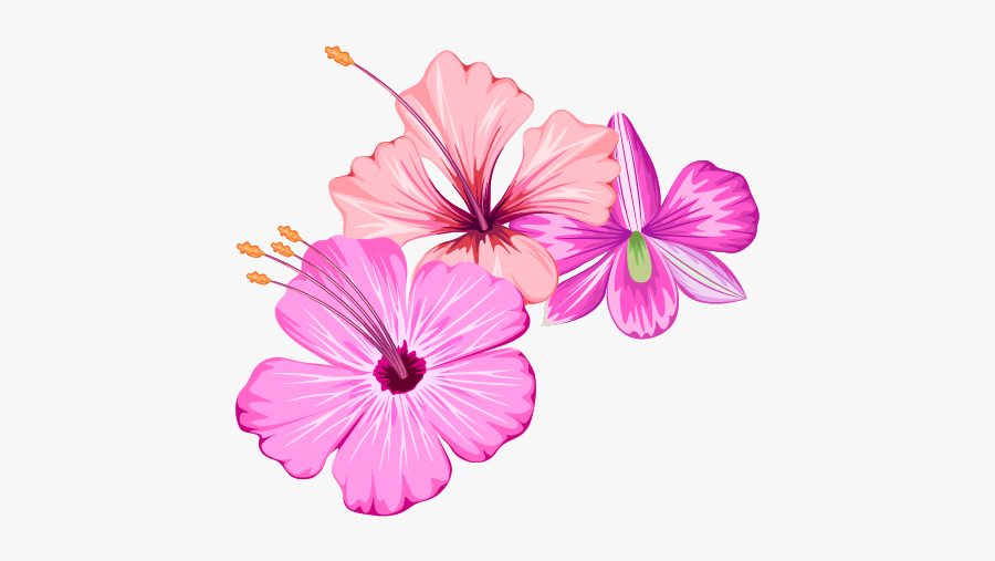 Small Fresh Flowers Flower Summer Free Transparent - Small Pink Flowers Png, Transparent Clipart