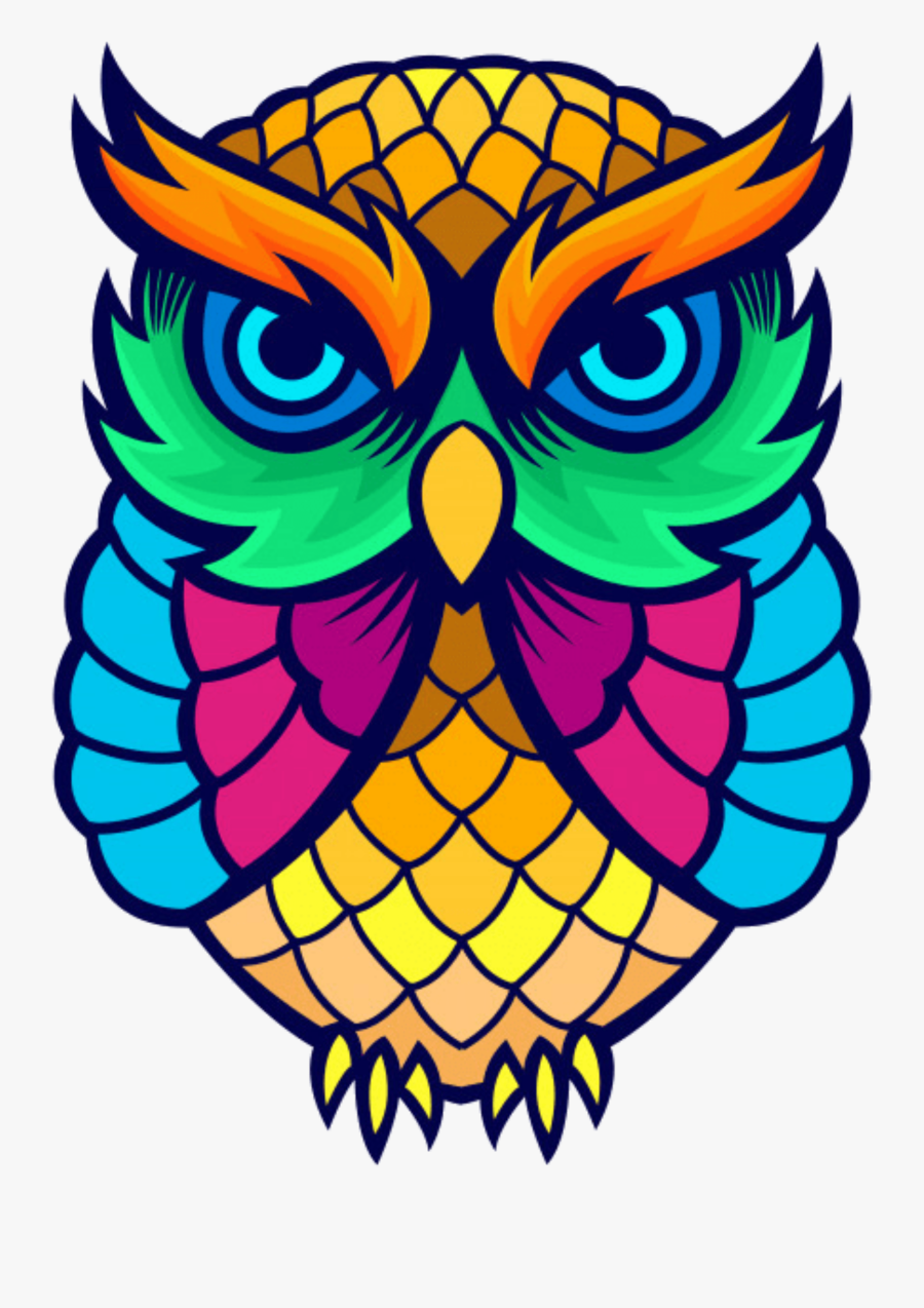 Transparent Owl Face Png - Colorful Owl Png, Transparent Clipart