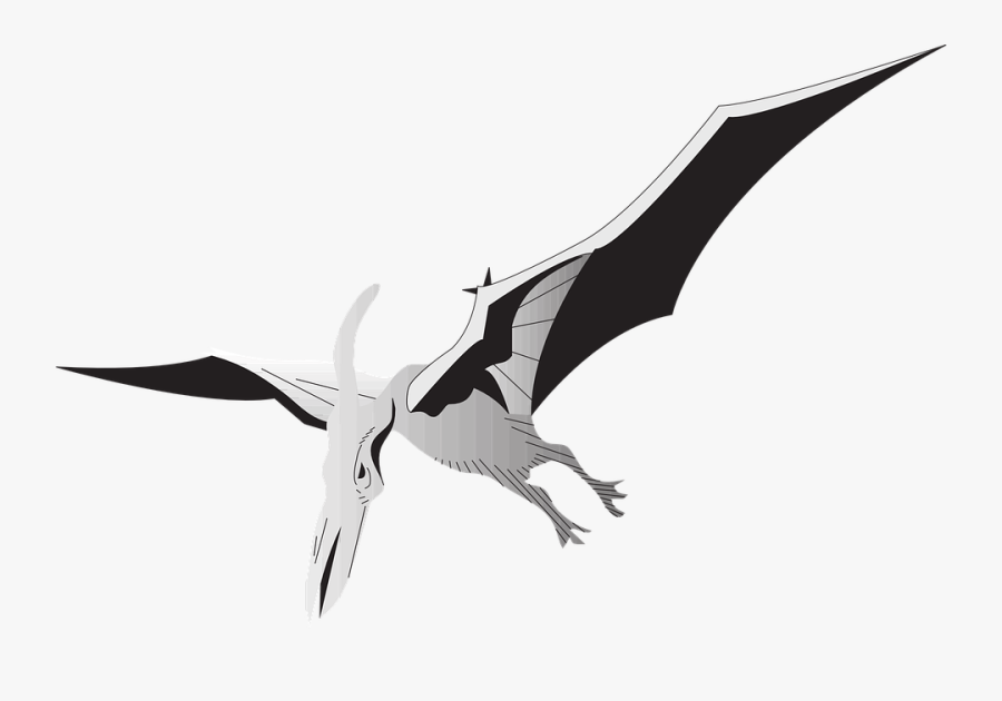 transparent bird gif png pterodactyl silver free transparent clipart clipartkey transparent bird gif png pterodactyl