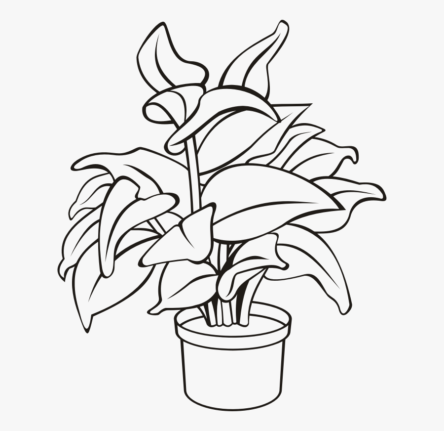 Potted Plant 11, Transparent Clipart