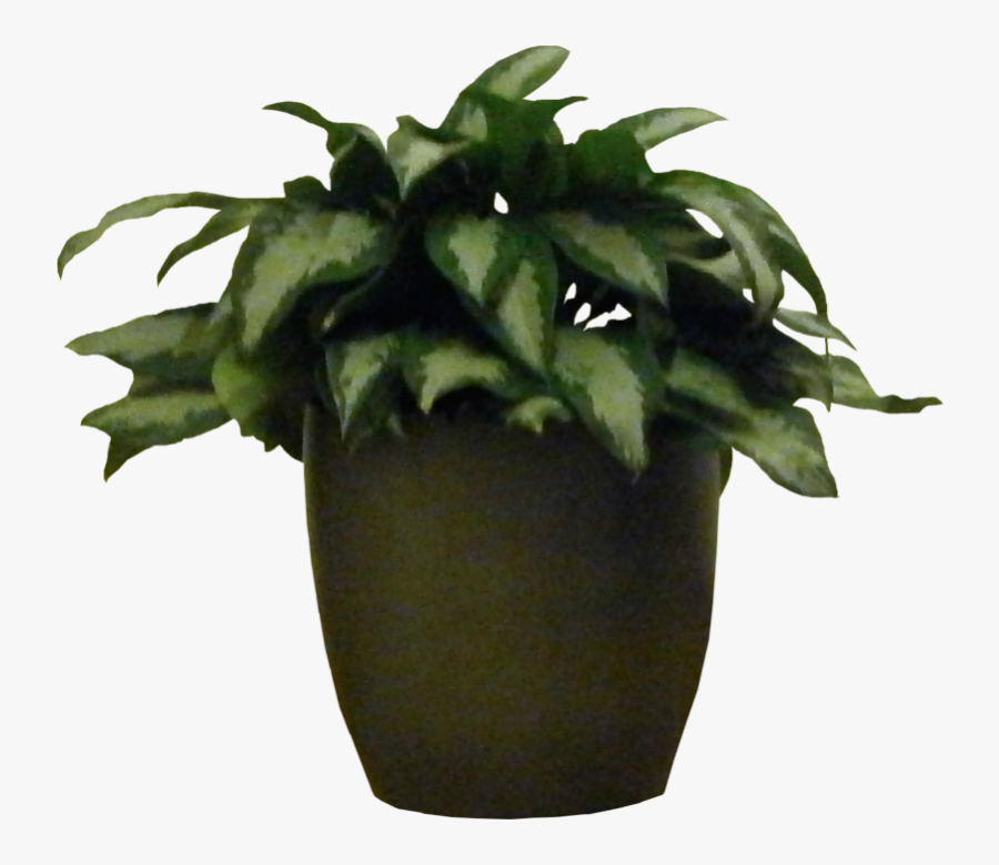 Plants Clipart Indoor Plant - Plant Photoshop, Transparent Clipart