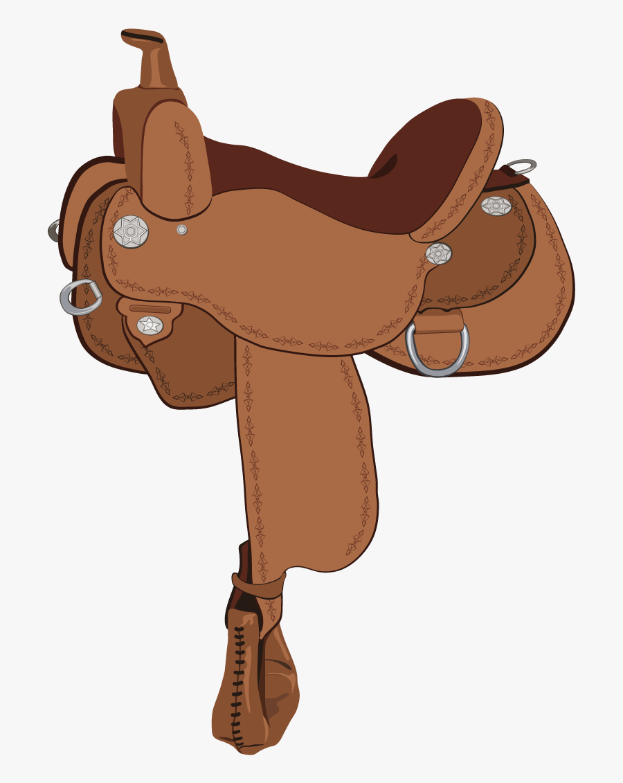 Vector Free Library Identify Horse Types Play - Transparent Saddle Clipart, Transparent Clipart