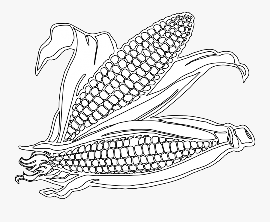 Transparent Corn Stalks Png - Corn Black And White Png, Transparent Clipart