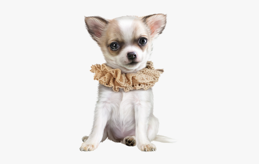 Puppy, Transparent Clipart