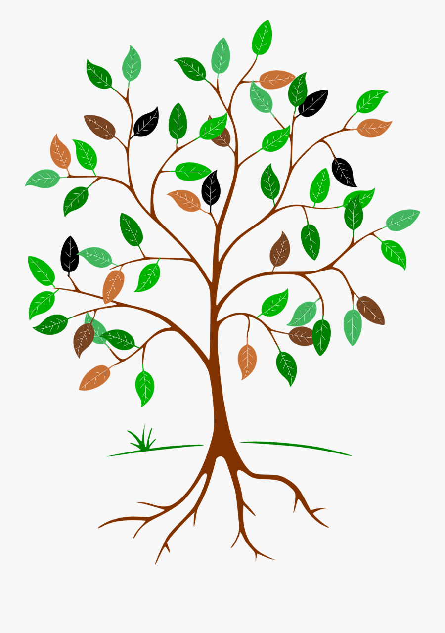 Tree With Roots Icon Png, Transparent Clipart