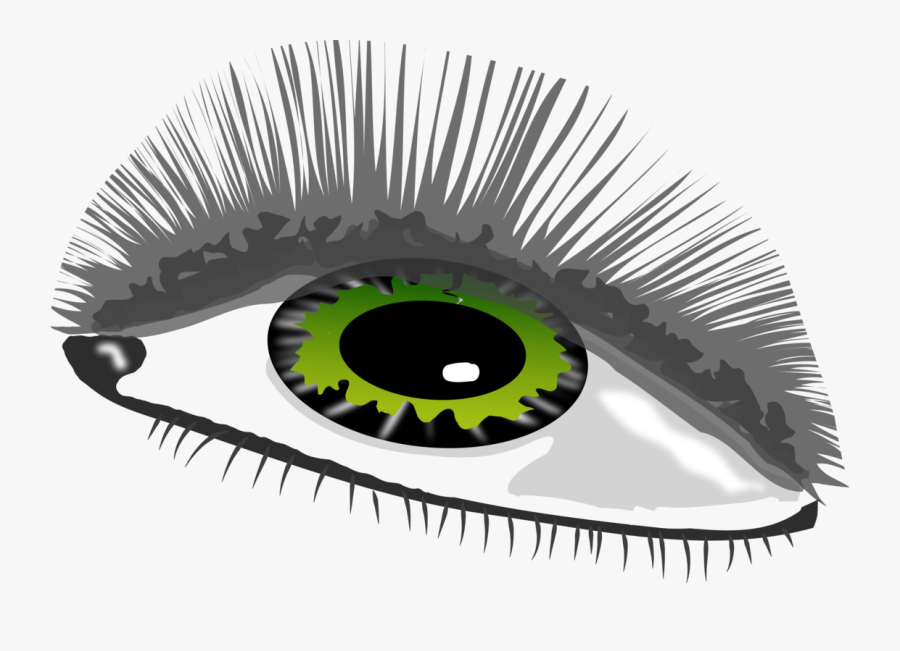 Close Up,eye,organ, Transparent Clipart