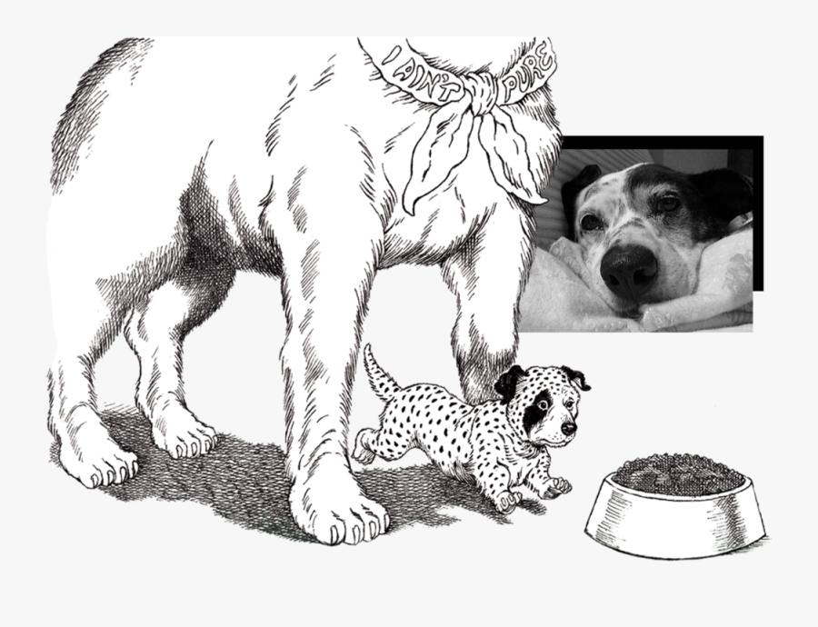 Ancient Dog Breeds, Transparent Clipart