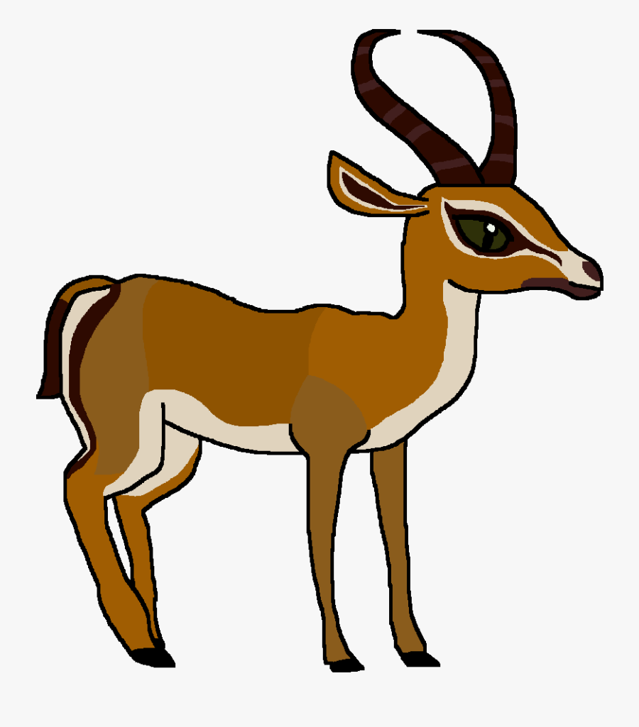 Gazelle Clipart Springbok - Cartoon Picture Of A Springbok, Transparent Clipart