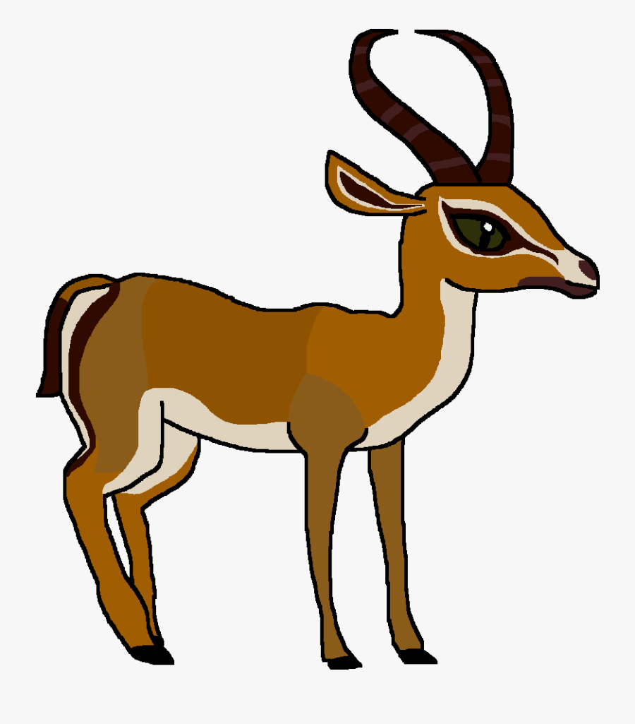 Gazelle Clipart Springbok Cartoon Picture Of A Springbok Free Transparent Clipart Clipartkey