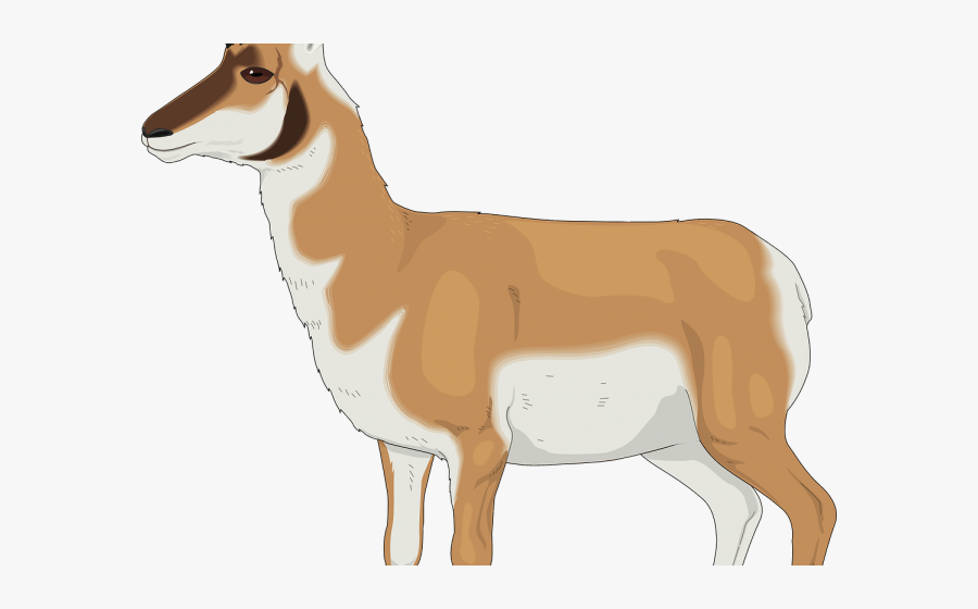 Gazelle Clipart, Transparent Clipart