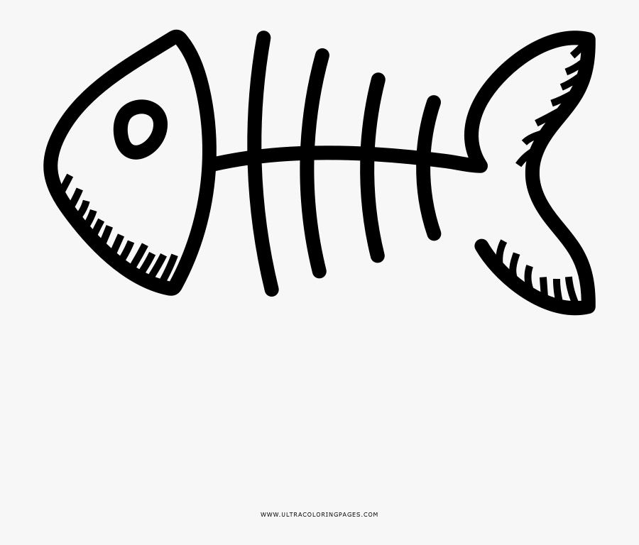 Drawing Fish Bone Coloring Book Skeleton - Fish Skeleton Icon, Transparent Clipart