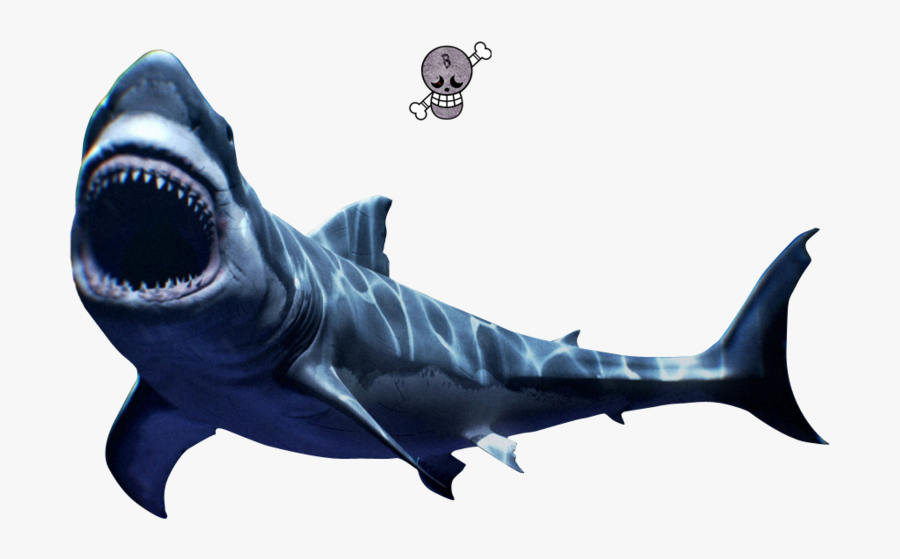 Mako Shark Png, Transparent Clipart