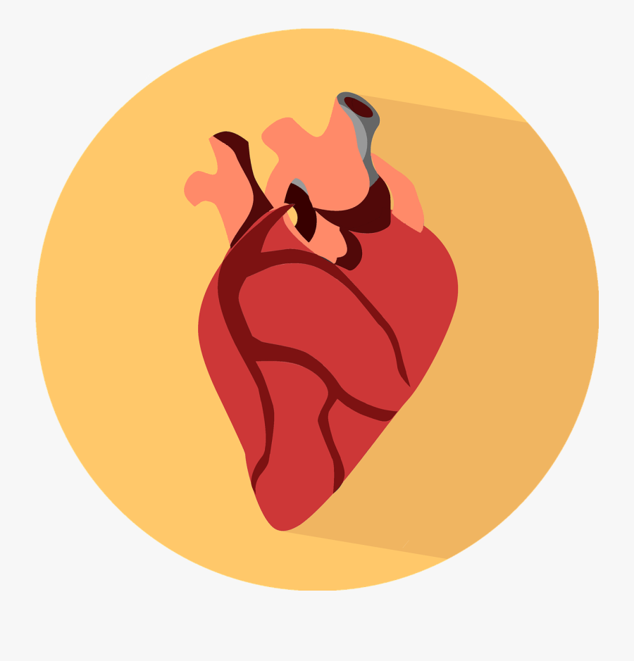 From Fantasy To Reality - Human Heart Icon Png, Transparent Clipart