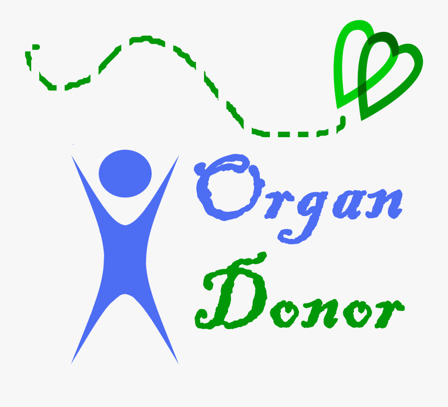 Organ Donor2, Transparent Clipart