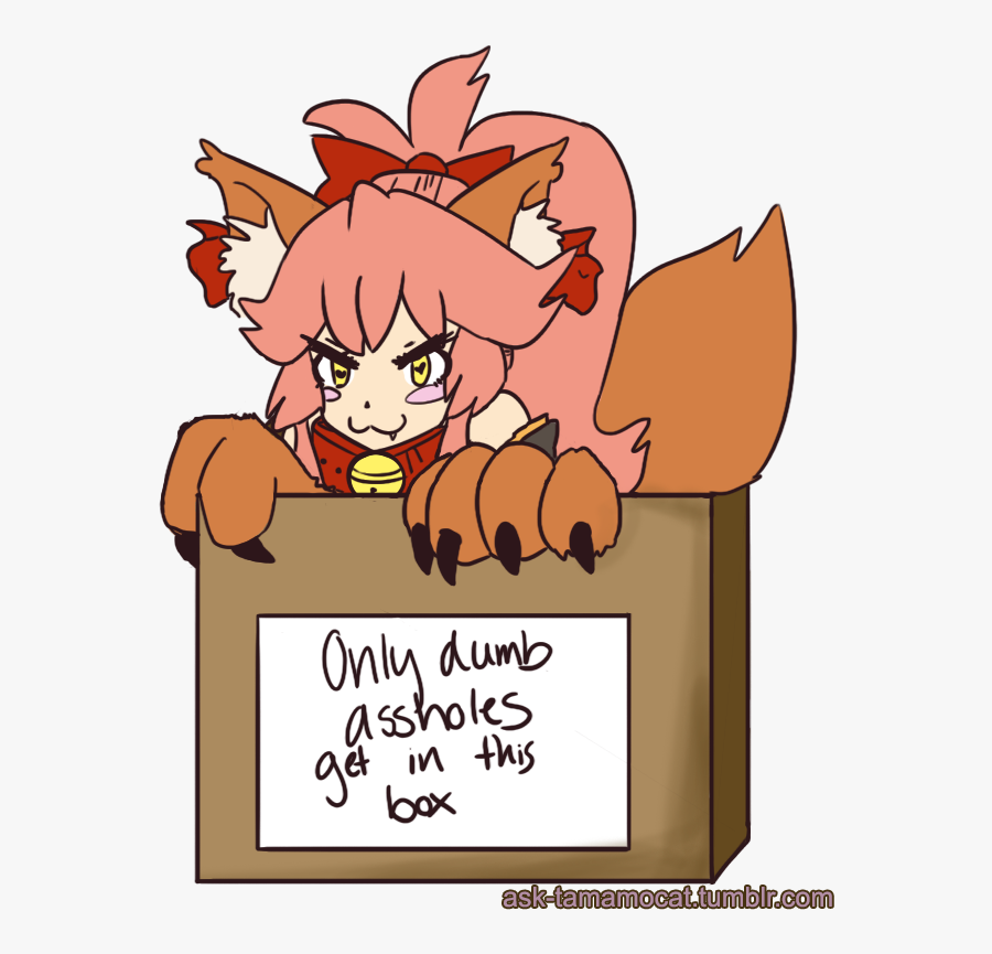 Oh No Wann Tamamo Cat Ate So Much Food On Thanksgiving - Fgo Tamamo Cat Meme, Transparent Clipart