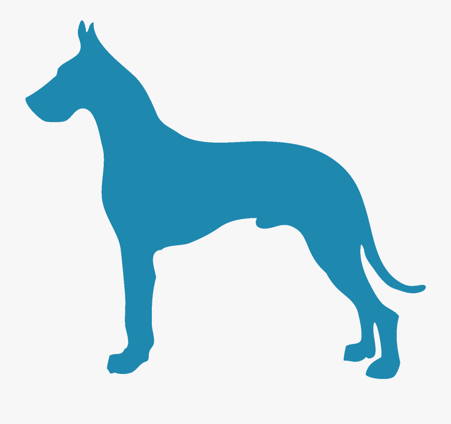 Jeff Lemmenes Great Dane - Companion Dog, Transparent Clipart