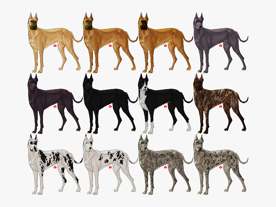 Clip Art Different Colors Danes Pets - Colores De Gran Danes, Transparent Clipart