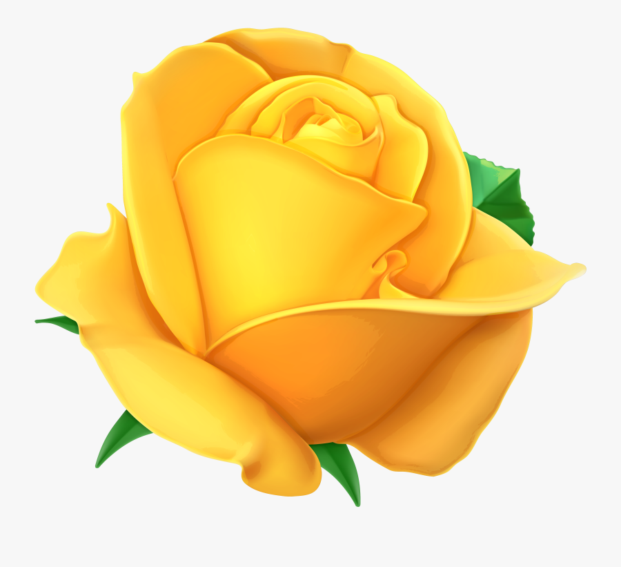 Clip Art Transparent Png Picture Gallery - Transparent Background Yellow Rose Clipart, Transparent Clipart