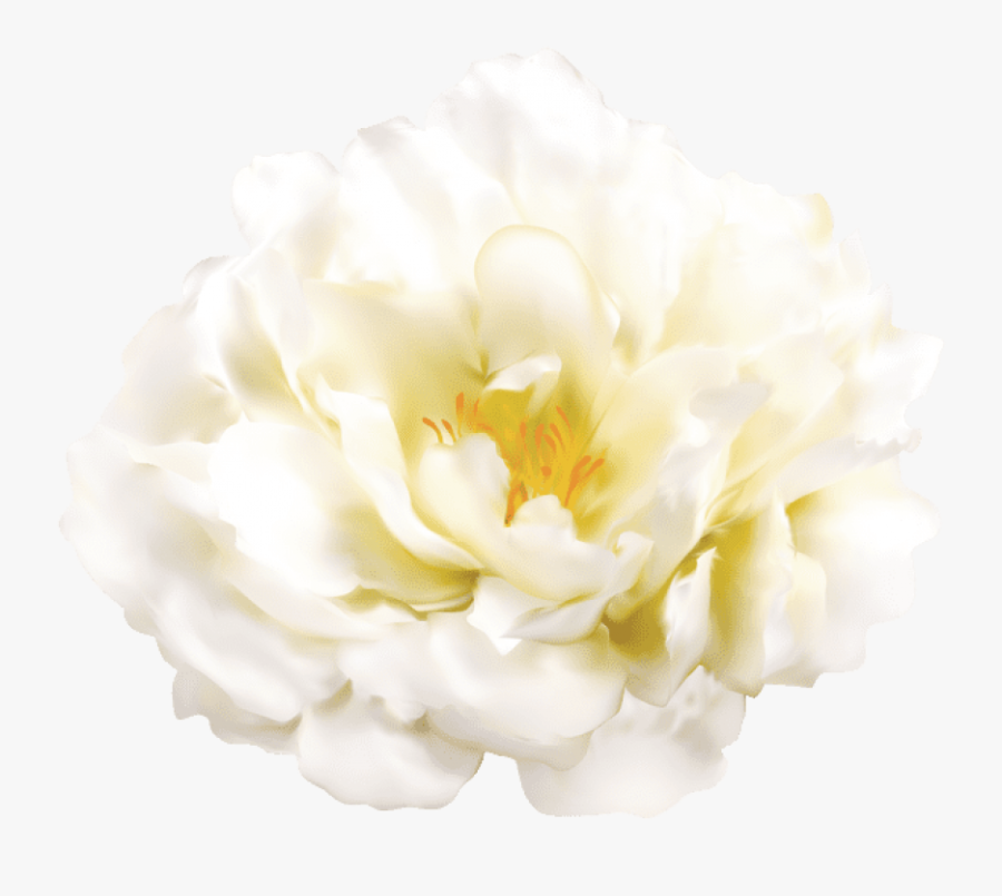 Free Png Download White Flower Transparent Png Images Transparent Png White Flowers Free Transparent Clipart Clipartkey