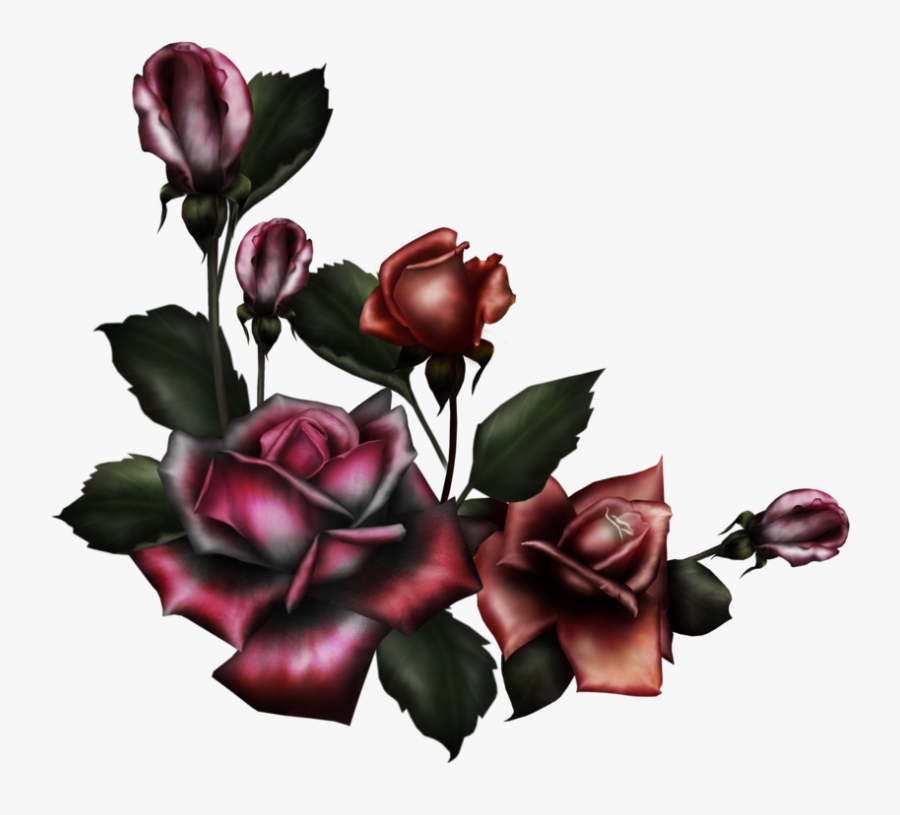 Rose Png Images Transparent Free Download - Gothic Roses Png, Transparent Clipart