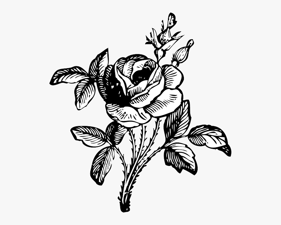 Black And White Flower Png, Transparent Clipart