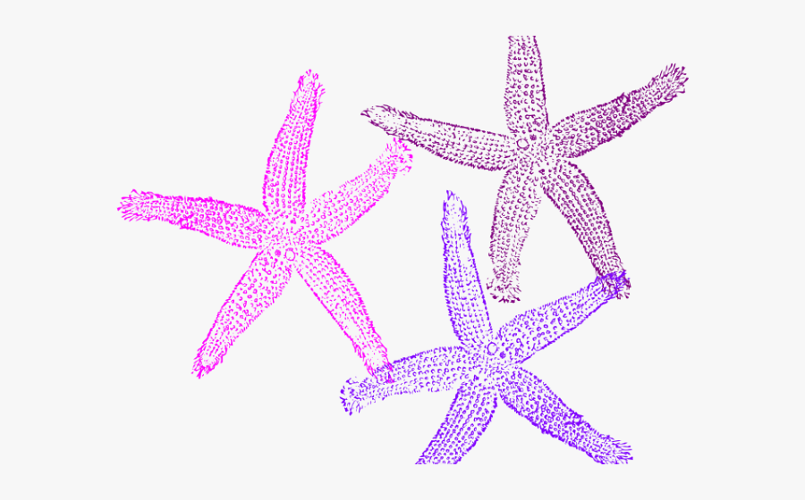 Turquoise Starfish Clipart, Transparent Clipart