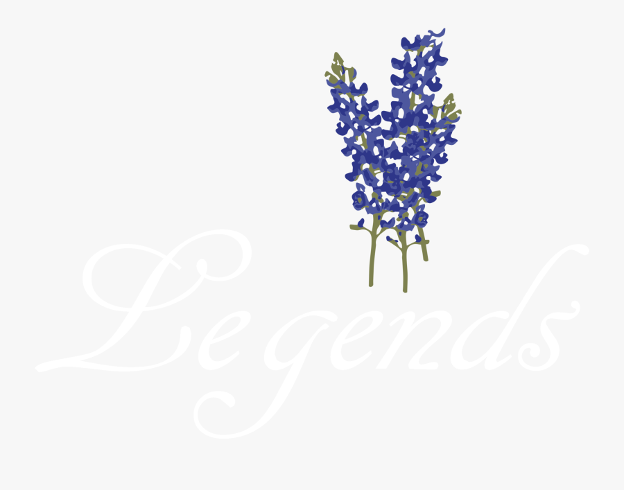 Lavender Body Jewellery Line Font - Bluebonnet Png, Transparent Clipart