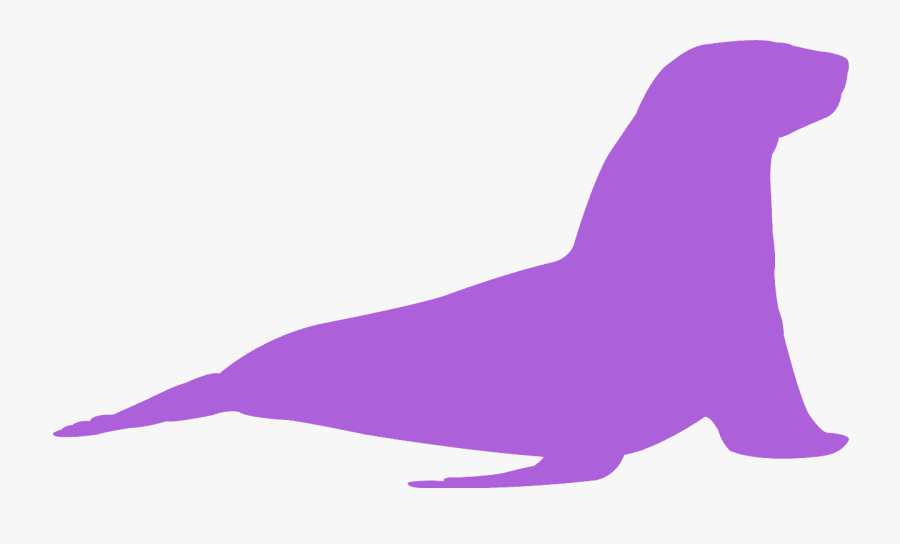 California Sea Lion, Transparent Clipart