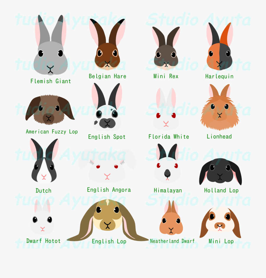 Head Set With Breed - Fuzzy Rabbit Clipart , Free Transparent Clipart ...