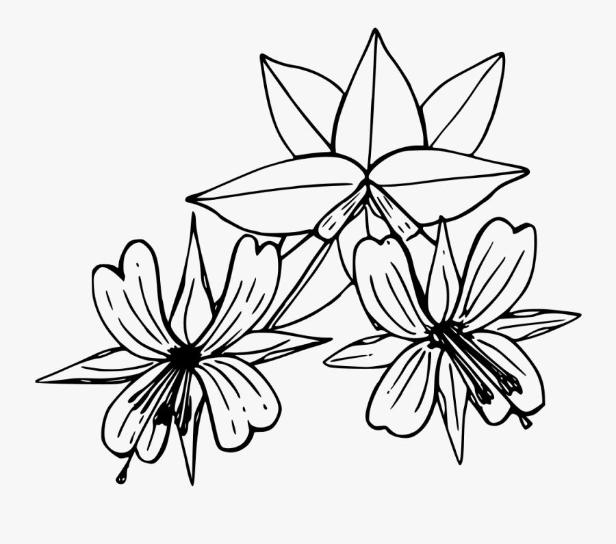 Symmetry,monochrome Photography,petal - Fire, Transparent Clipart