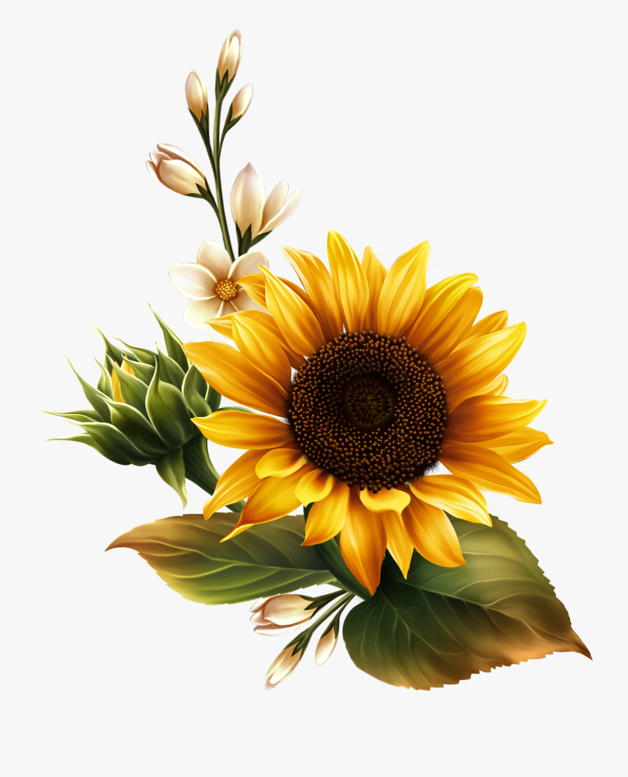 Free Free 345 Printable Sunflower Clipart Free SVG PNG EPS DXF File