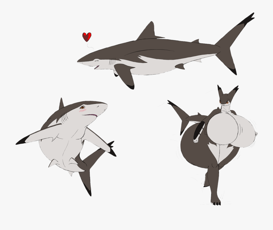 Clipart Freeuse Library Great White Chondrichthyes - Chondrichthyes Png, Transparent Clipart