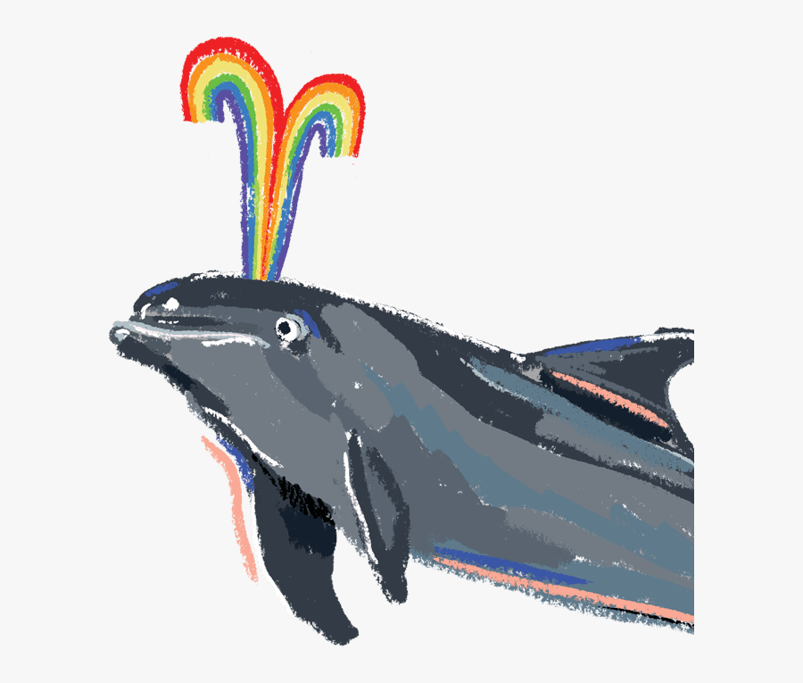 Image Of A Dolphin - Humpback Whale, Transparent Clipart