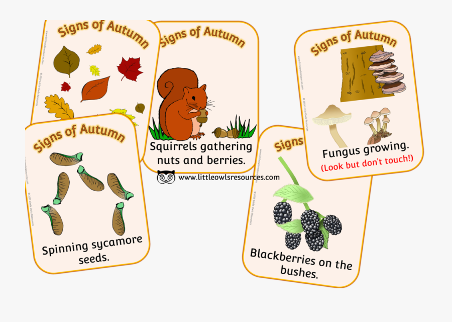 ‘signs Of Autumn’ - Cartoon, Transparent Clipart