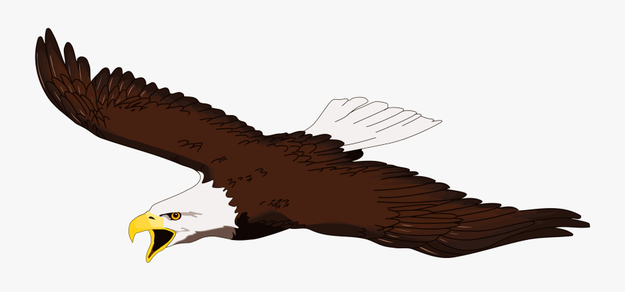 Clipart Eagle - Flying Clipart Bald Eagle, Transparent Clipart
