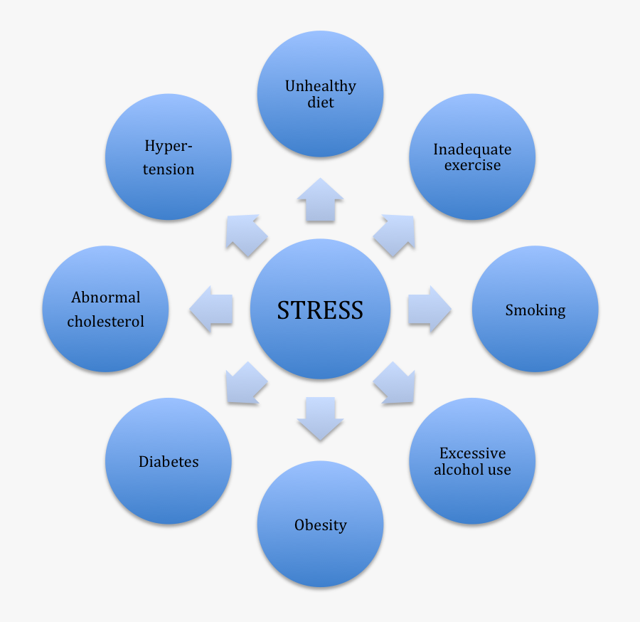 Stress Can Kill - Law Of Demand Project, Transparent Clipart