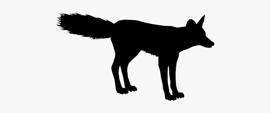 Wild Animals Png Transparent Images - Dog Catches Something, Transparent Clipart