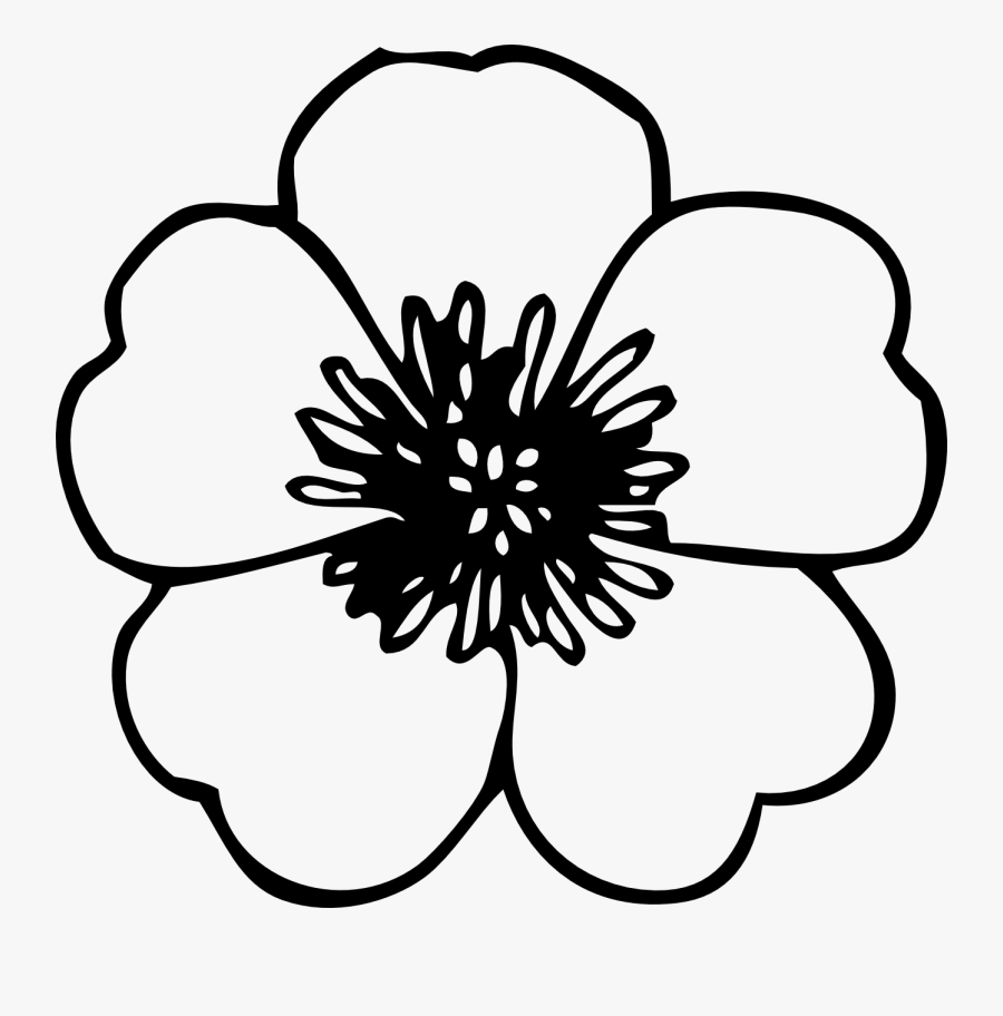 Simple Flower Clipart Black And White - Flower Black And White Clip Art, Transparent Clipart