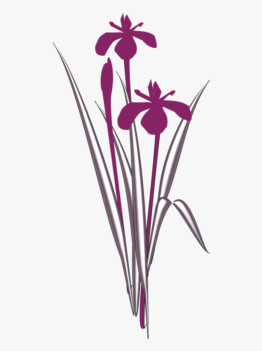 Simple Flower Clipart - Simple Iris Flower Clipart, Transparent Clipart