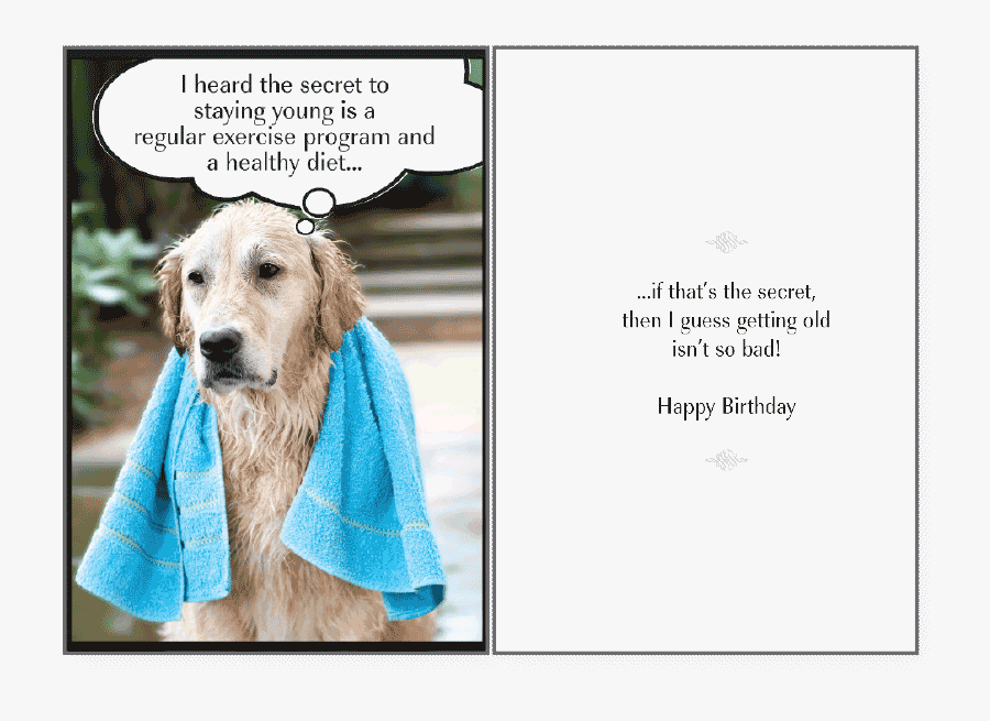 Transparent Happy Birthday Clipart Funny - Happy Birthday For S Dog Lover, Transparent Clipart