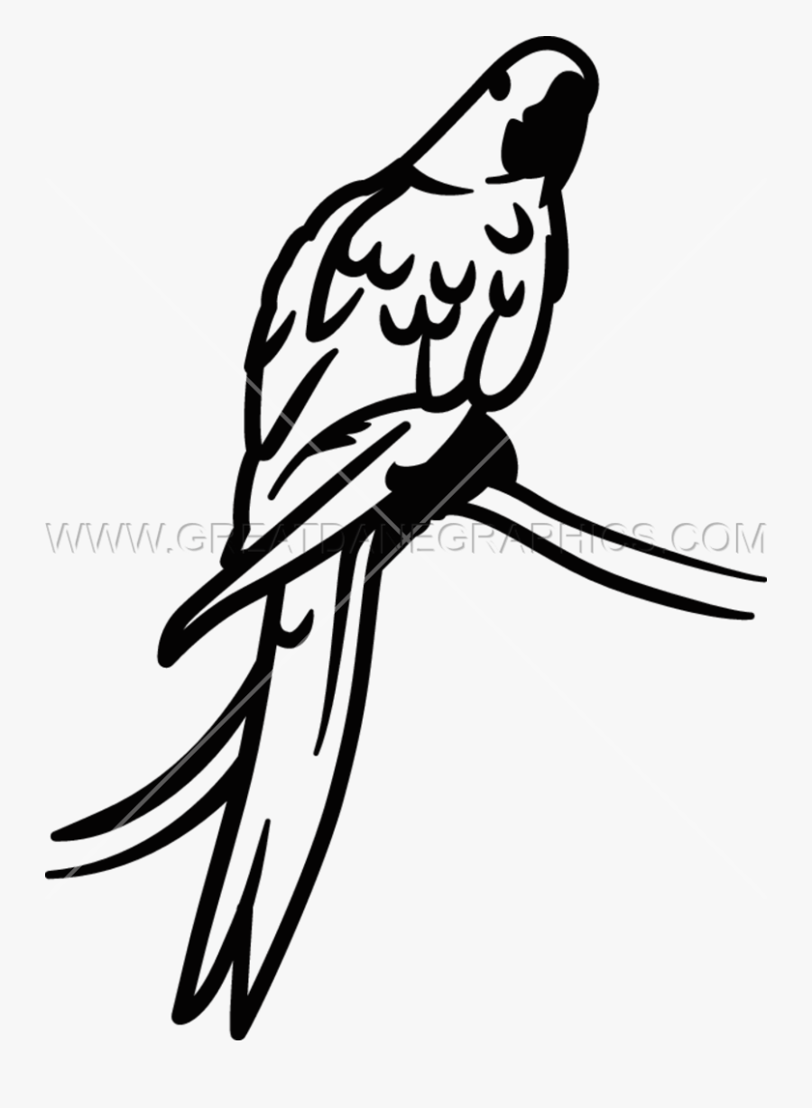 Transparent Hyacinth Png - Hyacinth Macaw, Transparent Clipart