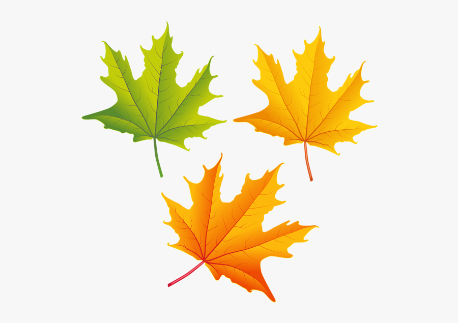 Clipart Images, Autumn Leaves, Photoshop, Clip Art, - High Resolution Fall Leaves, Transparent Clipart