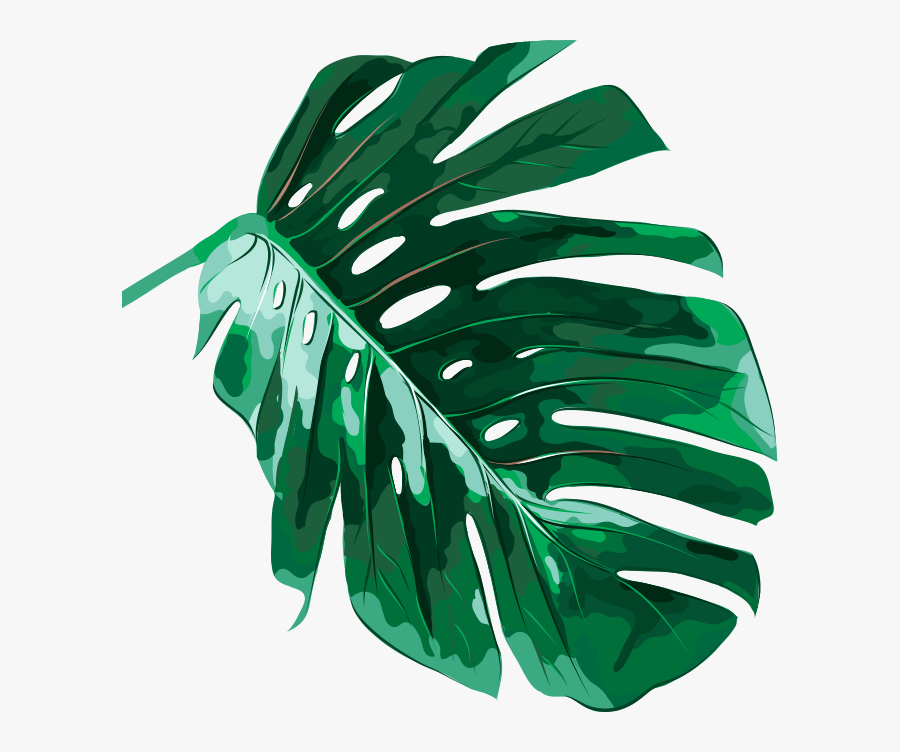 A - Aesthetic Green Leaves Background, Transparent Clipart