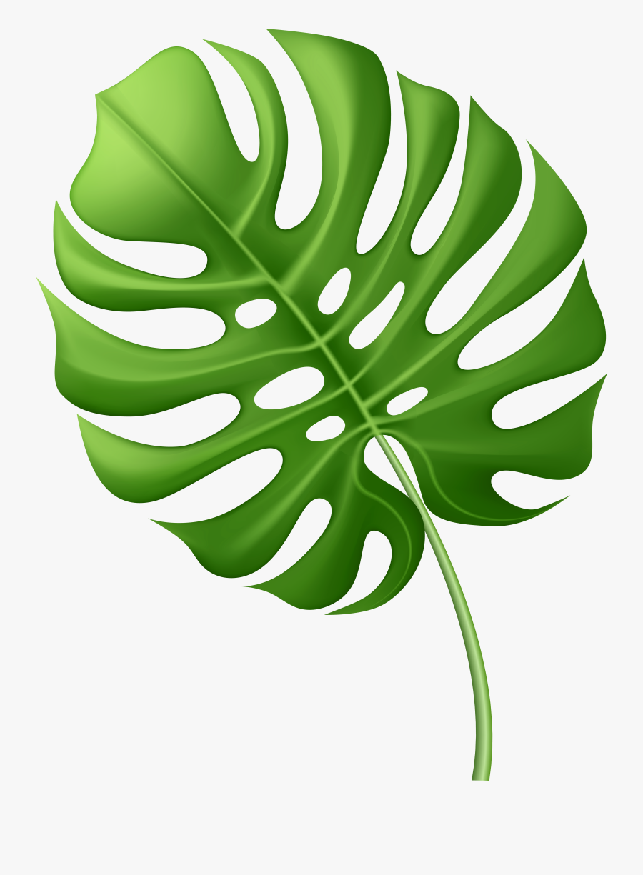 Palm Leaf Png , Png Download, Transparent Clipart