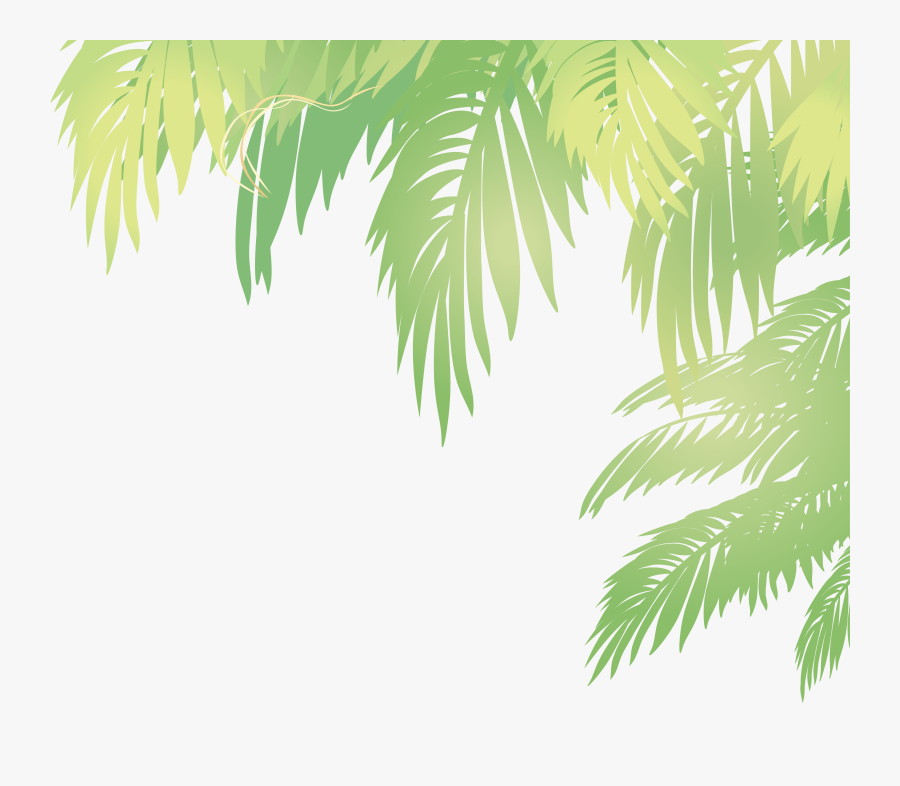 Palm Tree Leaf Vector - Coconut Leaf Vector Png, Transparent Clipart