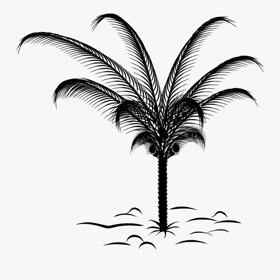 Palm Leaves Clipart, Transparent Clipart