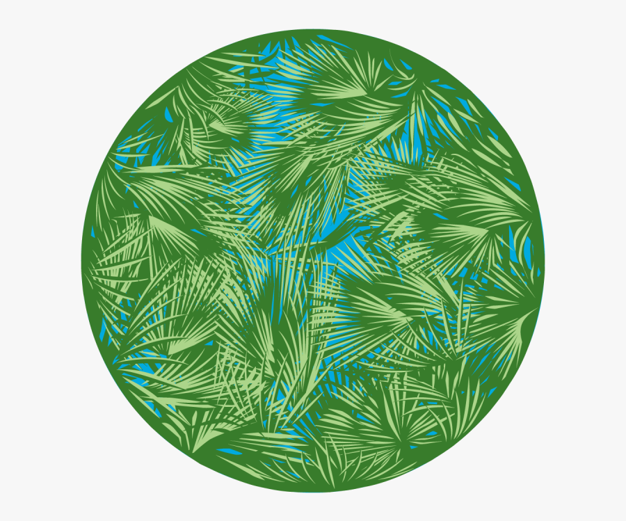 Transparent Palm Leaves Png Palm Leaf Circle Transparent Free