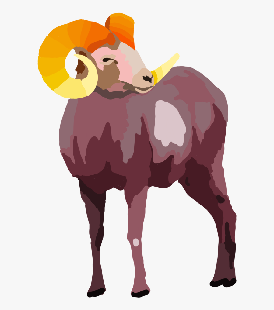 Ram - Bighorn - Bighorn, Transparent Clipart